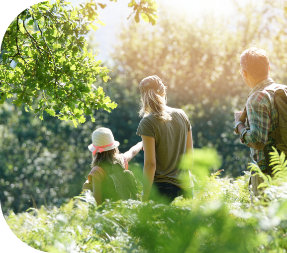 Neotrees - nos projets de reforestation
